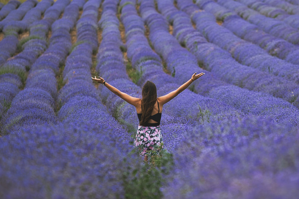Seven incredible reasons why we love using Lavender oil you probably haven't heard about before!