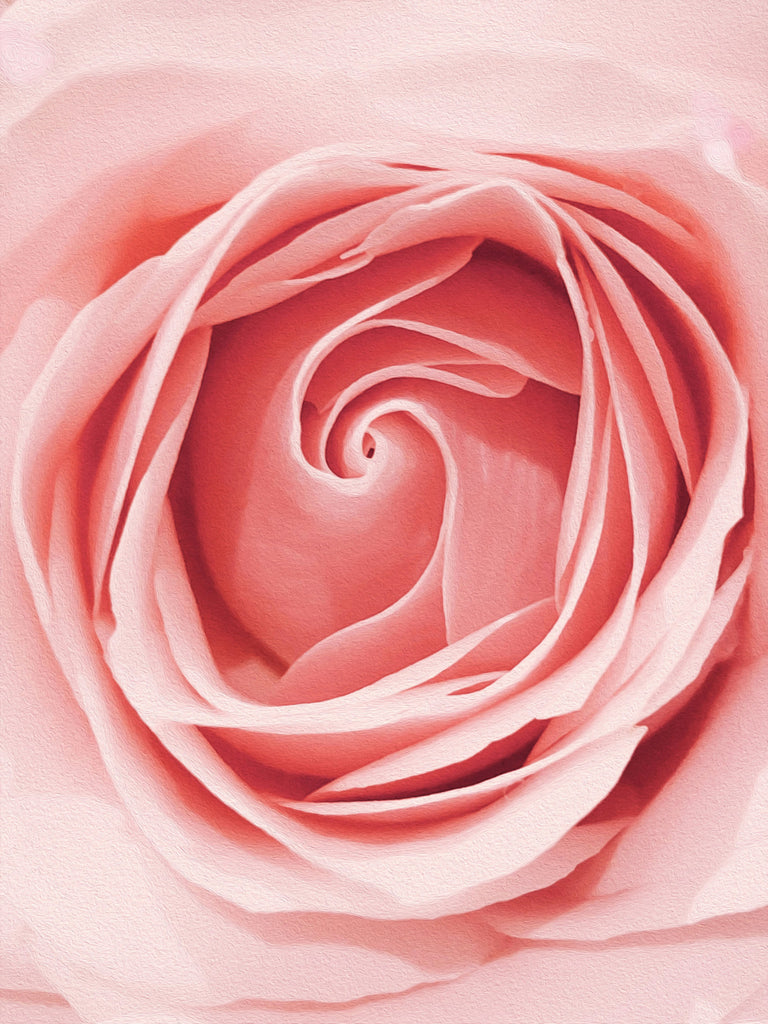 Why Roses carry the highest frequencies of all plants in the Universe!